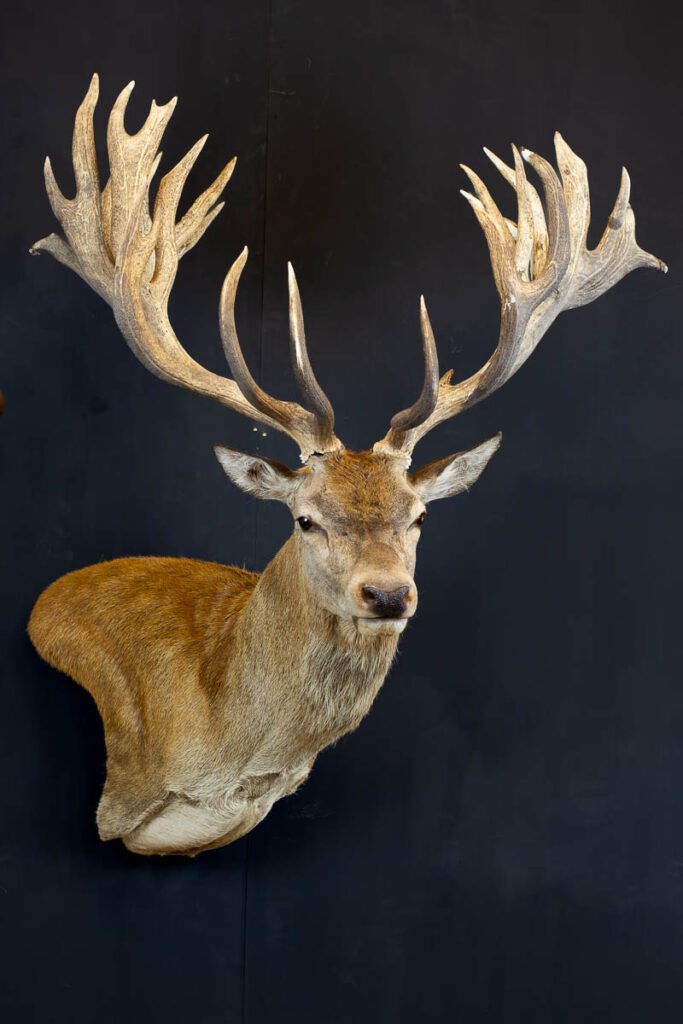 Choosing the Right Mounting Position for Your Home